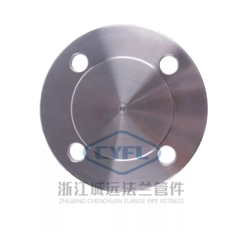 duplex-steel-s31803-blind-flanges_467937.webp.jpg