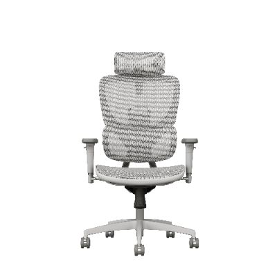 Ergonomic Office Chair Company Guide to Choosing a Chair That Supports Your Spine
